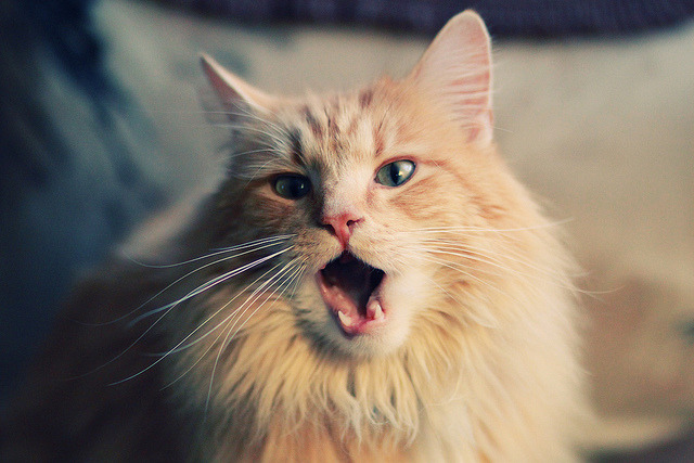 kaiyun.com-“不眠之夜：季后赛激烈对决回顾”，不眠之夜每场多少人