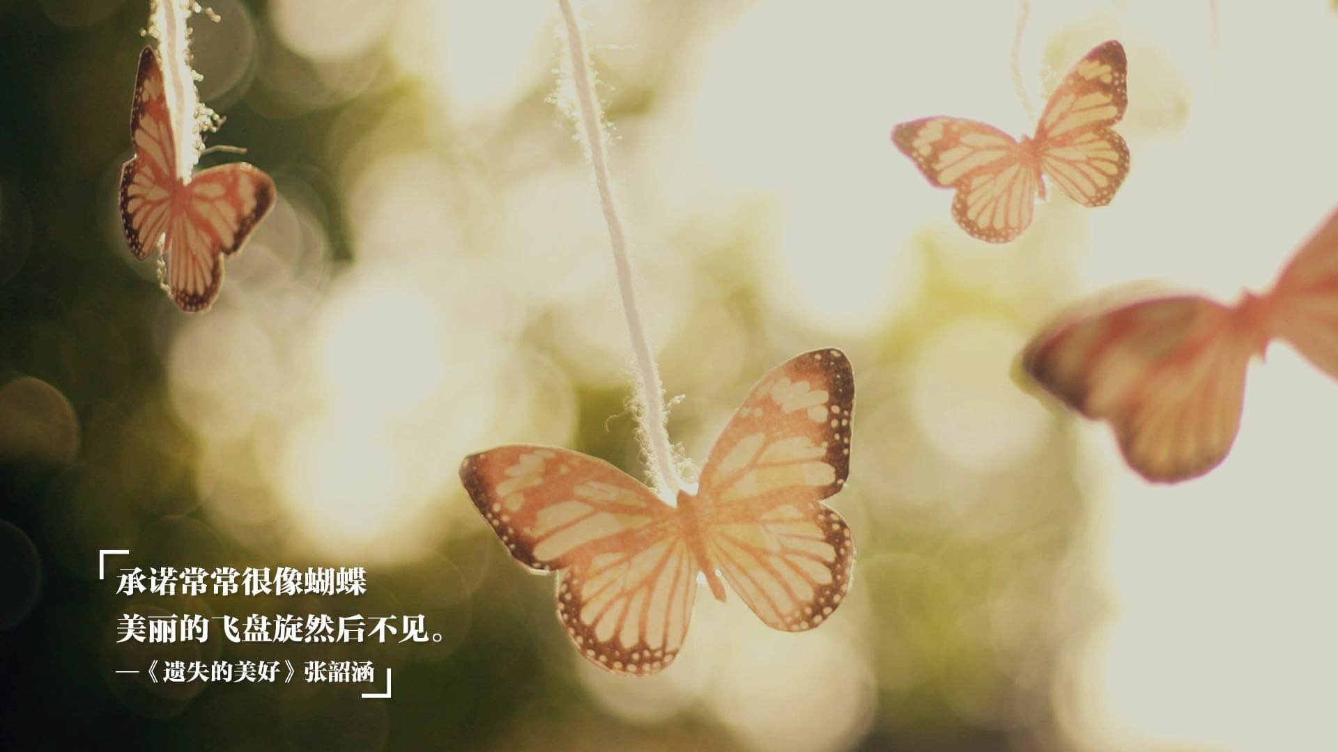 德甲“黑马”球队逐渐崭露头角，德甲俱乐部球队